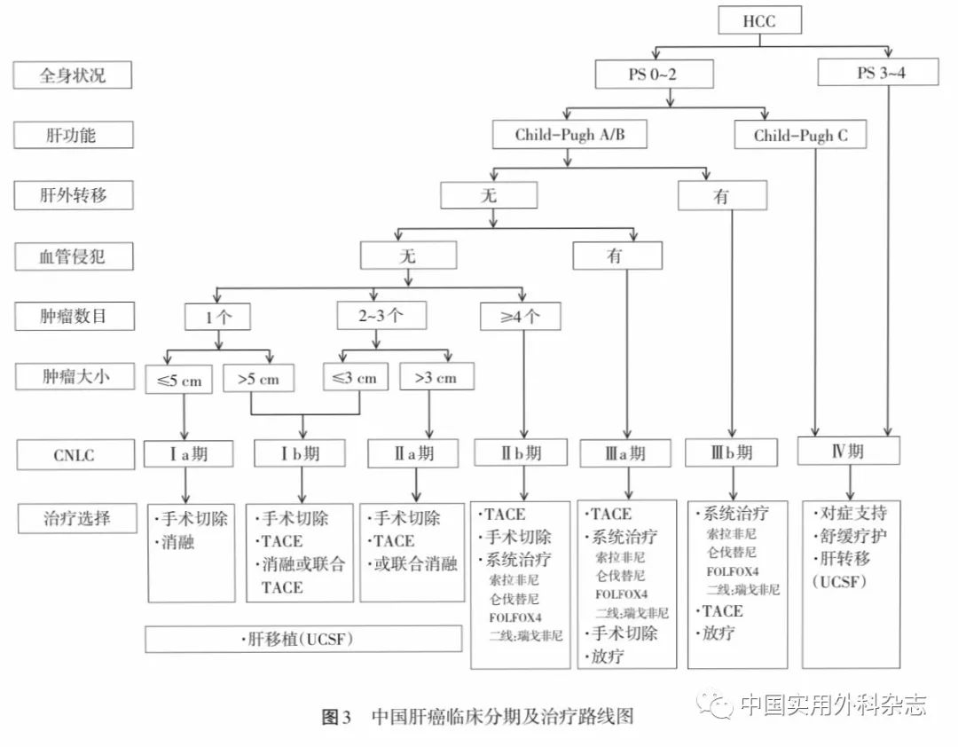 临床诊疗规范｜原发性肝癌诊疗规范（2019年版）
